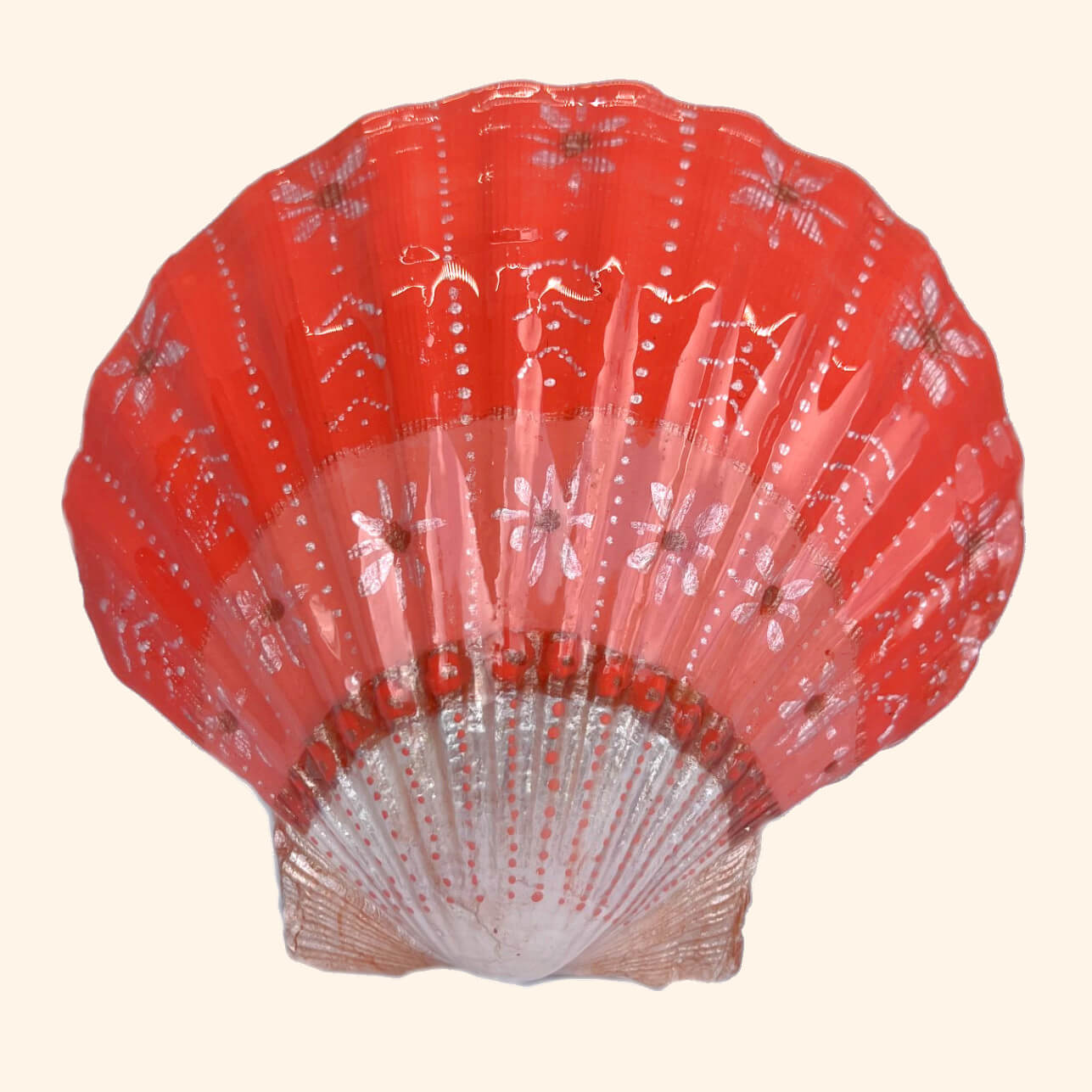 Real Scallop Shells 5 Pack Genuine Seashells 1-3/4 to 3 37751