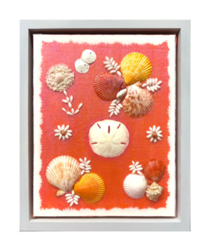 Coral with Shells (11x14)